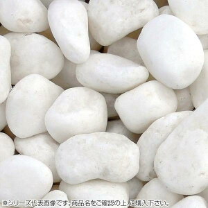 COMOLIFE RCt }cgY }gVREʍ  (20`30mm)O 20kg (1423987)