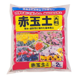 COMOLIFE RCt | ԋʓy 嗱 2L 20