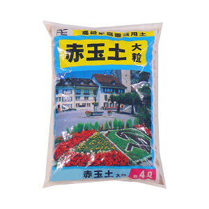 COMOLIFE RCt | ԋʓy 嗱 4L 10