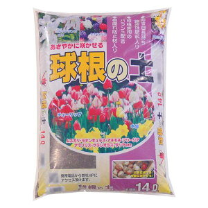 COMOLIFE RCt | ̓y 14L 4