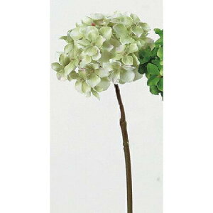 AXJ(Asca) A[31839 nChWAs#003G sNO[yzԁzyzyAWTCz (72-31839-3)