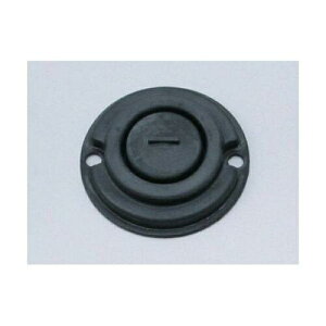 DAYTONA fCgi 75503 zVEE_CAt^^C/g}X^[