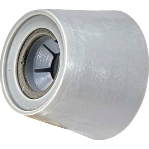 TRUSCO トラスコ中山 TRUSCO Pコン穴埋スピードコン(スピードコン100個入・ブチルシール1本付)W5/16用 (TSPV225 6600)