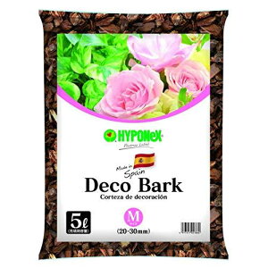 nC|lbNX fRo[NMTCY 5L