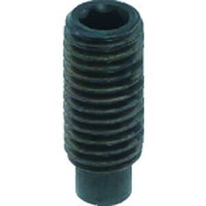TRUSCO �g���X�R���R TRUSCO �Z�p���t�~�߃l�W �_�� �X�`�[�� M8x35 10�{��