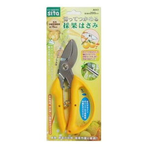 OR[|[V A043 SITA LbecJTCJnT~