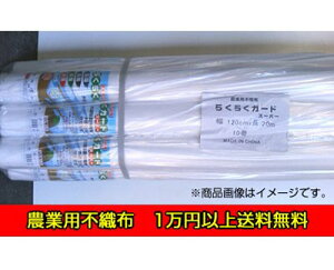 VZC SS _ƗpsDz 炭炭K[h X[p[ 0.9mx20m