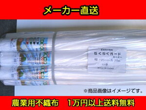 VZC SS _ƗpsDz 炭炭K[h X[p[ 1.8mx10m