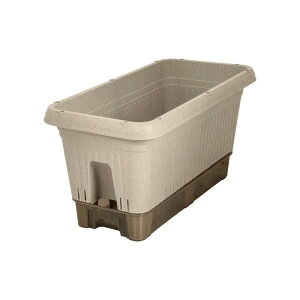 xXgR v^[  ybg{gŎ LX^[t { 650^ AC{[ MA-4205