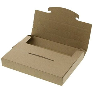 シモジマ ダンボール ラクポスBOX 195-30 10枚 002123025 1パック(10枚入)