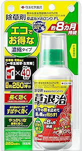 ZFw| ގKOFL 250ml