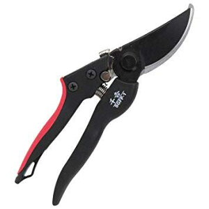 �����Y�� ��g GF������ S�O���b�v SGFP-1(1�R��)