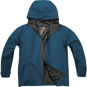 �O�i�S�� B-1100 ����LIGHT���C���X�[�c �u���[ L (H1100BAL 2799)