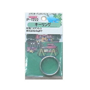 jbT`FC(Nissa Chain) jbT`FC XeXL[O 22mm (P1222 5123)