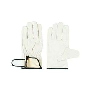 �V���� �؊v��� PL719 M�� ���n�t (PL719M 3043)