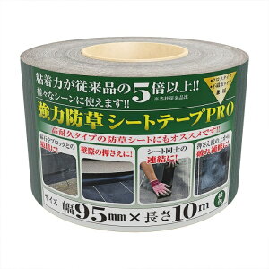 {}^C ͖hV[gpe[vPRO  95mmX10m