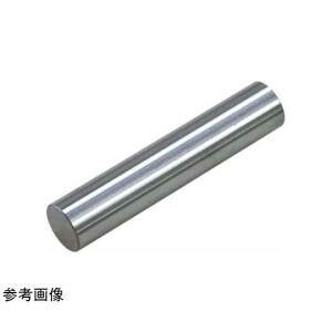 EISEN AC[ }X^[sQ[Wo(0/vX`bNP[Xt//L=40mm) EX-0.993