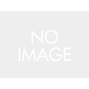 DAYTONA fCgi GIVIZ9838RNvALA36 i:28763