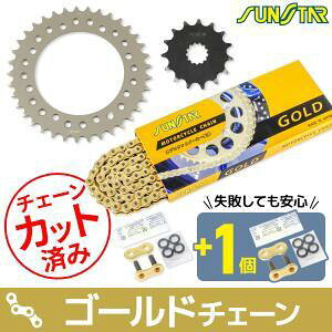 R}[X XvP`F[Lbg KS3G303 \Ԏ:W800(19-)