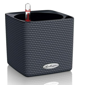 Lechuza `[U ʋv^[ L[uJ[14 X[g (13384 8247)