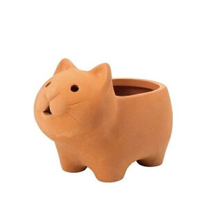 P[EC[EAC Aj}eRb^ lR 3/2 (4979-CA)y:10z