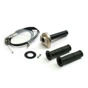 �A�N�e�B�u(ACTIVE) �X���b�g��KIT [�z���_�[:TYPE-1 T-GLD] �����28 ACTIVE 1071172SU [�X�e������] Z650RS 22