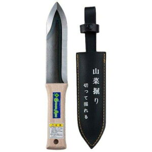 Cg[ GreenAce R،@iCt n TbNt