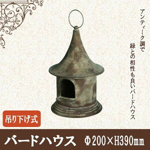 mΑn o[hnEX 86481 (1096579)