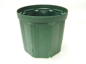 ����Y�� �X���b�g�|�b�g6��CSM�[180 MG (-)