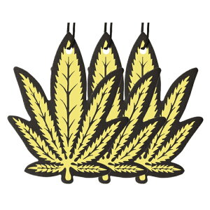 j[A[NX wv(HEMP) [tOX GA[tbVi[ y[p[ ݂艺 oj̍ 3 NAX-052-006