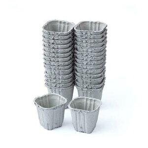 y݌Ɍ[zCOMOLIFE RCt yɊ҂鉀||bg 30 (0391478)