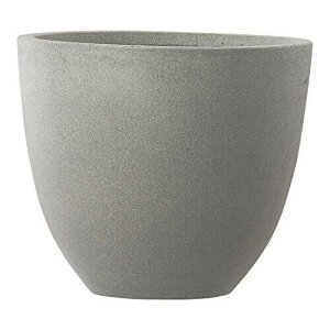 O[|bg yAؔ/t@Co[ZgzX^Eg AbVEh 42cm (AN-SA4236RC)