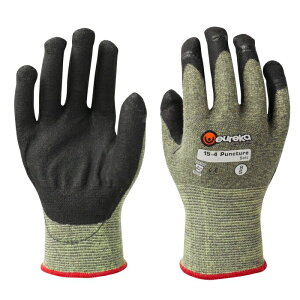 GEJ(eureka) ˂hh~ pN`[\tg 10C` 15-4PSOFT 1o