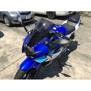 �A�N���|�C���g �y�K���w���O�Ɏd�l�����m�F�������z�X�g���[�g(�X���[�N) GSX250R (160221)