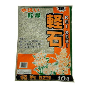 y݌Ɍ[zg`~O[T[rX Čy  10L