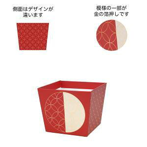 P[EC[EAC NYa|bg  (NY485-A)y:10z