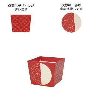 P[EC[EAC NYa|bg  (NY485-B)y:50z