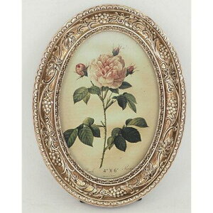 cY tHgt[ S[hfBbV 3464 (2144944)