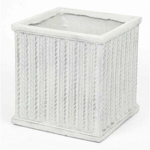 cY XNGA|bgjbg 7 White 3749 (2144807)