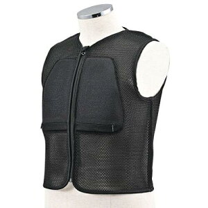 DAYTONA �f�C�g�i DP009���b�V���v���e�N�^�x�X�gBK/L �i��:60944