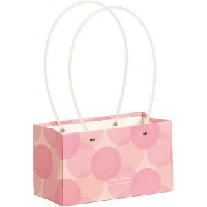SG Wonder zone �y�[�p�[�o�b�O �_��5��/4��/3��/�@��3�� ���� �s���N/���b�h (381-047P)�y����:50�z