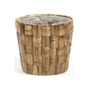 SG Wonder zone �G�X�W�[�����_�[�]�[�� �q���V���X�_��6���p�� 369-60DB (1909023)