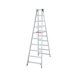 ���J��H��(Hasegawa) �n�Z�K�� �A���~���ڐ�p�r�� (XAM30B 6010)