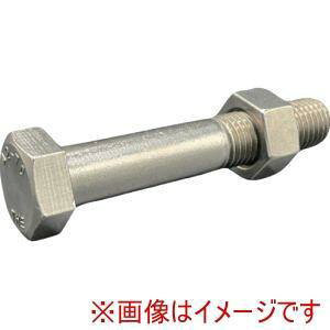 �v���X�p�[���m HI�[LEAD �Z�p�{���g�E�i�b�g(�{�̋K�i/�VJIS) A2-70 SUS304/�X�e�����X M16X90L �s�b�`2.0 ���˂� �X�^�C��1�i�b�g (IS6HBNA270M1690P20 6559)