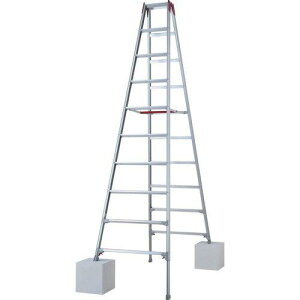 ���J��H��(Hasegawa) �n�Z�K�� �r���L�k���A���~��p�r�� �����^�b�`�o�[ RYZ�^ 10�i(10892) (RYZ30D 6010)