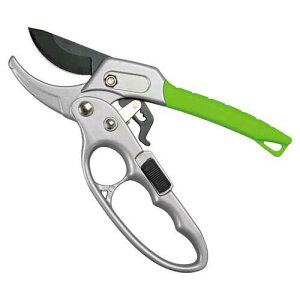 COMOLIFE �R�����C�t ���`�F�b�g���̃K�[�f������΂��� (0390682)