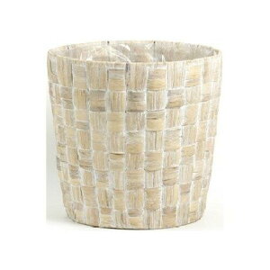 SG Wonder zone �G�X�W�[�����_�[�]�[�� �q���V���X�P���K�C10���p 369-10K (1909018)