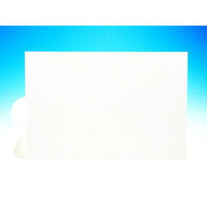 �A�N���T���f�[ FOREX��200mmx300mmx2mm (E7001SS2 1520)