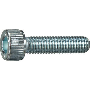 TRUSCO �g���X�R���R TRUSCO �Z�p���t�{���g ���j�N�� �S�l�W M4×12 10�{�� ���ʃp�b�N /�L���b�v�{���g(CAP) (Y8060412 6600)