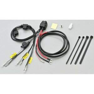 DAYTONA �f�C�g�i D-UNIT WR �~�j �i��:45871